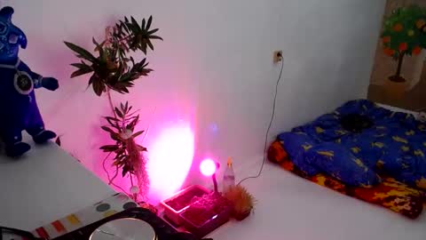 Muse Ali  online show from December 31, 2024, 5:18 pm