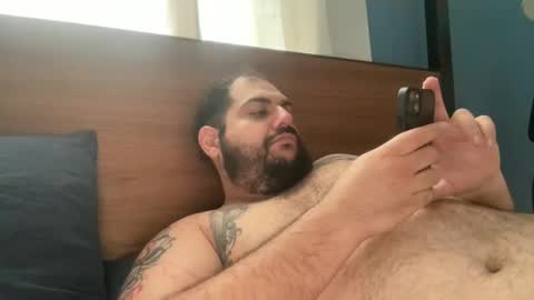Bear online show from May 20, 2026, 6:36 pm