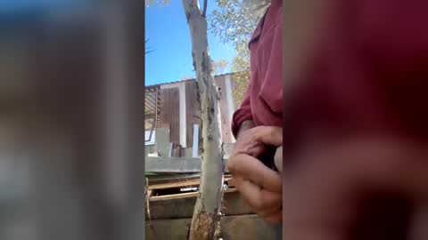 Snapshot of my_cockeye chatting on March 4, 2026, 5:13 am my_cockeye online show from March 4, 2026, 5:13 am