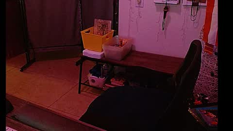 LA MARIPOSA DE MARICOPA online show from January 8, 2025, 8:27 am