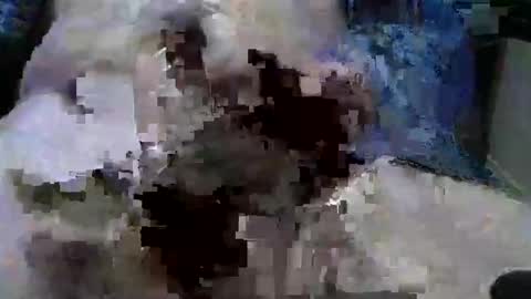 Snapshot of mycock594498 chatting on January 9, 2025, 3:12 pm mycock594498 online show from January 9, 2025, 3:12 pm