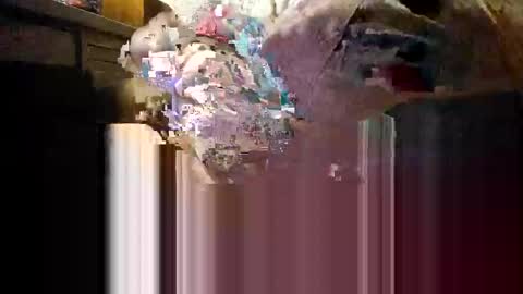 Mmmm Feels Great online show from December 4, 2025, 11:19 am