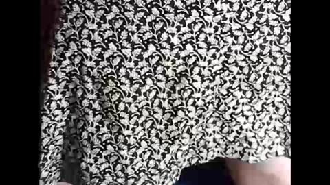 Sissy Mike online show from February 18, 2025, 7:09 pm