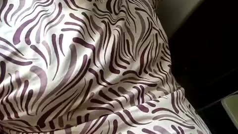 Snapshot of mysolo198777 chatting on January 16, 2026, 9:02 am Mysolo1987 online show from January 16, 2026, 9:02 am