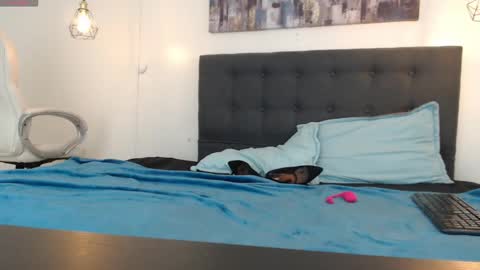 No Name online show from January 5, 2025, 1:26 pm