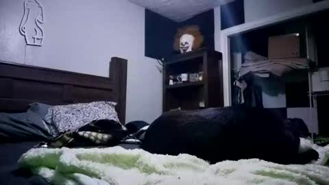 Snapshot of nackjamesontag69 chatting on February 7, 2026, 9:35 am nackjamesontag69 online show from February 7, 2026, 9:35 am