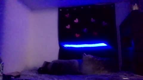 Missbellaaaxox online show from February 15, 2026, 8:13 am