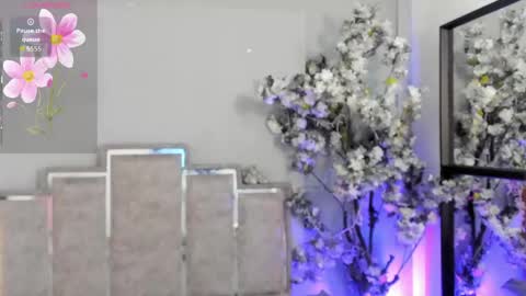 Snapshot of nahomycarterr chatting on May 7, 2026, 11:37 am nahomycarterr online show from May 7, 2026, 11:37 am