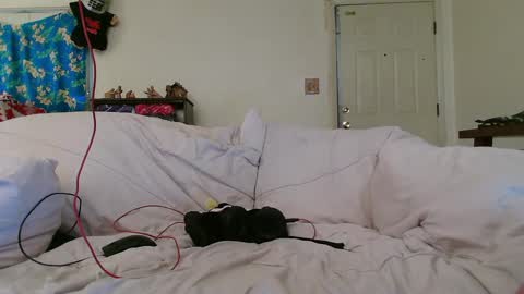 Snapshot of nannabaldur chatting on December 17, 2024, 8:32 pm Nanna Baldur online show from December 17, 2024, 8:32 pm