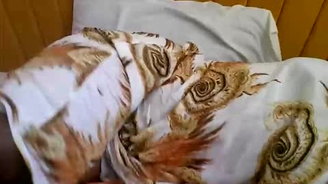 Snapshot of nastiestmomplay chatting on October 9, 2025, 7:17 am Sweet Ella online show from October 9, 2025, 7:17 am