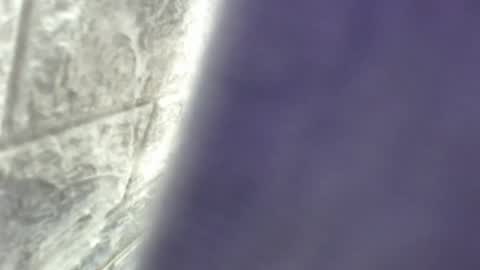 natalieevansx online show from November 16, 2025, 3:39 pm