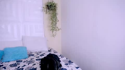 NATALY online show from April 25, 2026, 5:21 pm