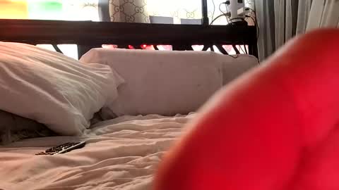 Haven online show from February 3, 2025, 5:03 pm