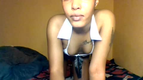 Bree doll online show from July 7, 2026, 4:37 am