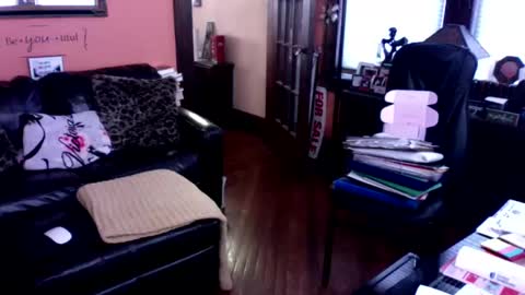 Snapshot of naughtybone chatting on January 12, 2025, 3:46 pm naughtybone online show from January 12, 2025, 3:46 pm