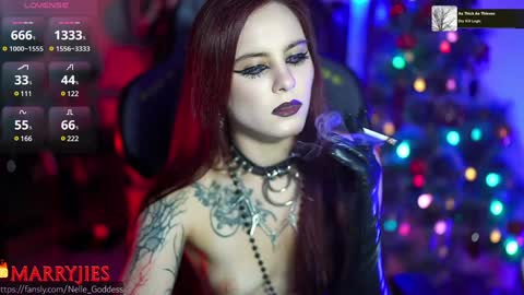 Snapshot of nelle_ chatting on January 1, 2025, 12:44 pm online show from January 1, 2025, 12:44 pm