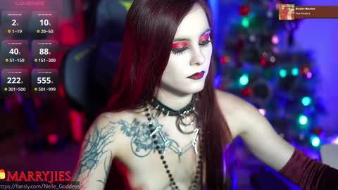 Snapshot of nelle_ chatting on January 2, 2025, 4:56 pm online show from January 2, 2025, 4:56 pm