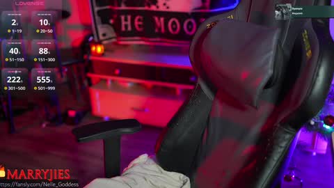 Snapshot of nelle_ chatting on January 3, 2025, 1:14 pm online show from January 3, 2025, 1:14 pm