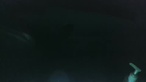 nelsonbucara online show from March 8, 2025, 10:00 am