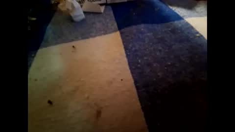 boo online show from November 1, 2025, 10:23 pm