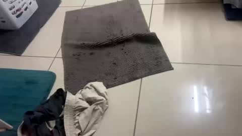 Snapshot of nesquick741960 chatting on December 22, 2025, 12:02 pm nesquick741960 online show from December 22, 2025, 12:02 pm