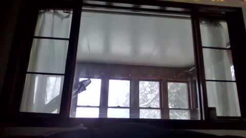 Snapshot of newguy81240 chatting on January 23, 2025, 3:54 pm Newguy81240 online show from January 23, 2025, 3:54 pm