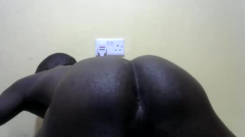 nice_cock01 online show from December 21, 2025, 11:50 am