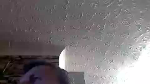 nice_cock8080 online show from July 4, 2026, 11:55 pm