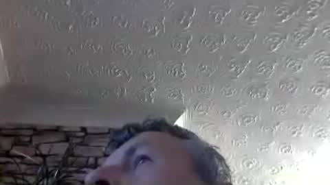 nice_cock8080 online show from July 26, 2026, 10:27 pm