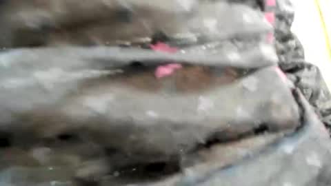 Snapshot of nicesweetwap chatting on October 26, 2025, 9:31 pm Bianca online show from October 26, 2025, 9:31 pm