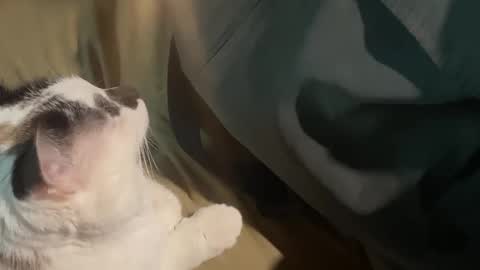 Snapshot of nick_and_bennie chatting on September 19, 2025, 2:46 am Nick f and Bennie m online show from September 19, 2025, 2:46 am