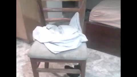 TheCock online show from February 7, 2026, 11:58 am