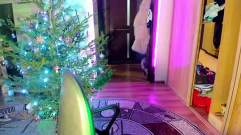 Nicky Weekends online show from January 14, 2025, 12:00 am