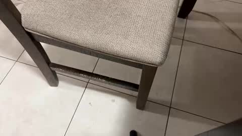 Carlos Nico online show from March 5, 2026, 9:38 am