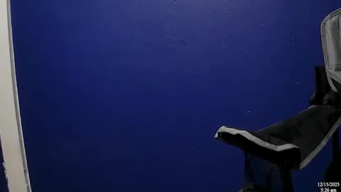 NicoG online show from December 15, 2025, 11:25 am