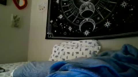 Snapshot of nicolegoodvibes00 chatting on February 17, 2026, 12:01 pm Nicole online show from February 17, 2026, 12:01 pm