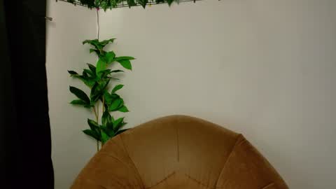 nicoleirisxxx online show from April 15, 2026, 5:25 am