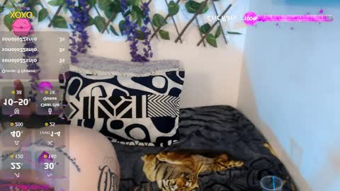 Nicolle ardila online show from April 11, 2026, 10:25 pm