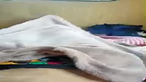 niesmialy89 online show from July 4, 2026, 5:08 pm