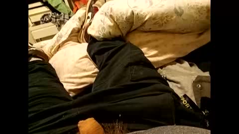 nigel1277 online show from September 10, 2025, 8:36 am