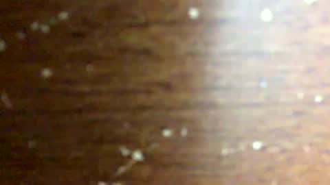 Snapshot of nightmoves1970 chatting on February 18, 2026, 3:46 am nightmoves1970 online show from February 18, 2026, 3:46 am