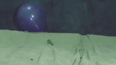 Watch us Fuck online show from November 17, 2025, 6:46 pm