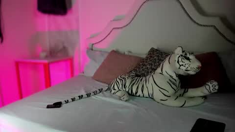 nicole online show from February 5, 2026, 3:05 pm