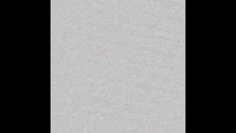 Nikki Ramone   online show from March 17, 2026, 10:07 am