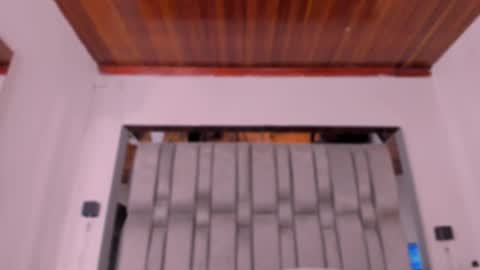     online show from November 25, 2025, 11:43 am