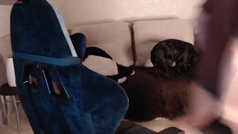 Nikolos online show from January 29, 2025, 9:28 pm