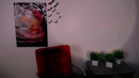 Snapshot of nikonara_ chatting on February 12, 2025, 4:11 pm nikonara_ online show from February 12, 2025, 4:11 pm