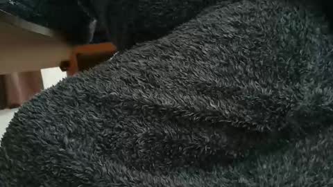 nineinchhard online show from October 28, 2025, 10:19 am