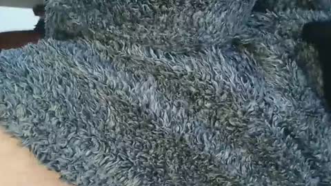 nineinchhard online show from April 6, 2026, 1:01 pm