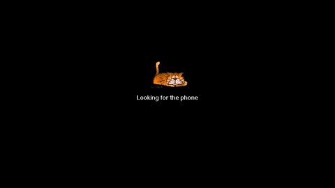 Ninfo Puta online show from March 1, 2025, 9:07 am